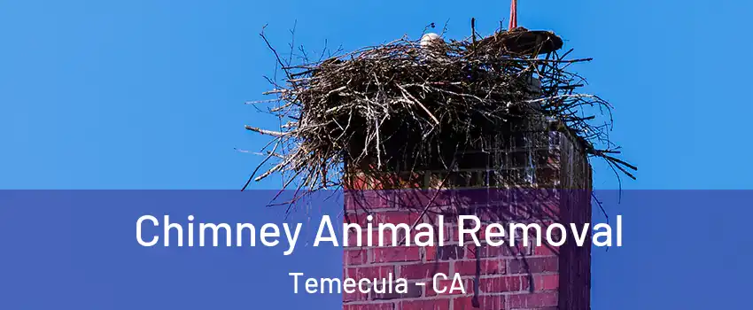  Chimney Animal Removal Temecula - CA