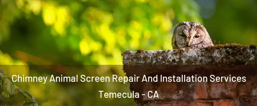  Chimney Animal Screen Repair And Installation Services Temecula - CA
