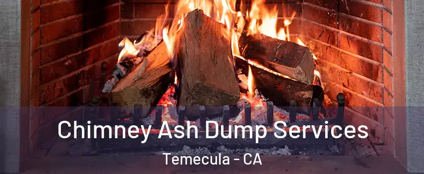  Chimney Ash Dump Services Temecula - CA
