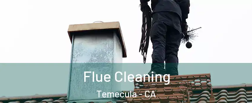  Flue Cleaning Temecula - CA