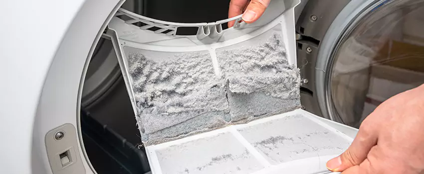 Best Dryer Lint Removal Company in Temecula, California