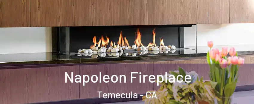  Napoleon Fireplace Temecula - CA
